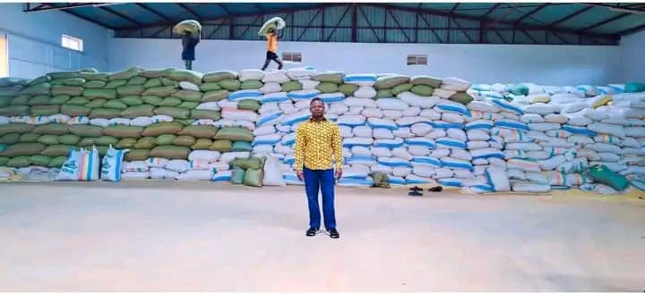 PROPHET SHEPHERD BUSHIRI STARTS HARVESTING AT GOSHEN FARMS